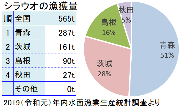 シラウオの主な産地と漁獲量