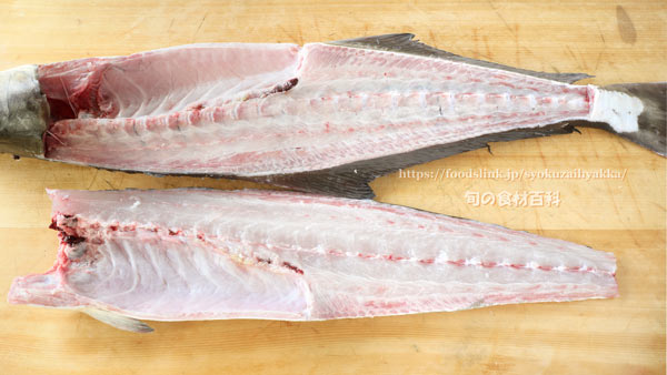 二枚におろしたスギ スギ,Cobia,Rachycentron canadum