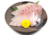スギ,刺身,sashimi,Cobia,Rachycentron canadum