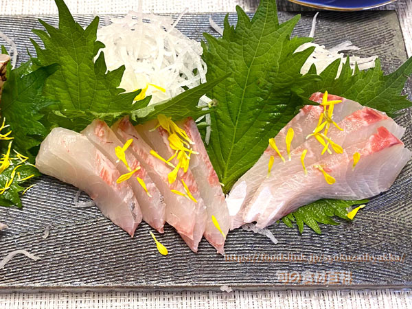 スギの刺身 スギ,刺身,sashimi,Cobia,Rachycentron canadum