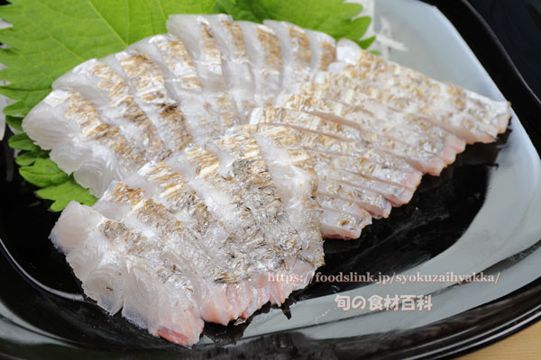 タチウオの刺身 太刀魚 立魚