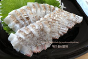 タチウオの焼き霜造り 太刀魚 立魚