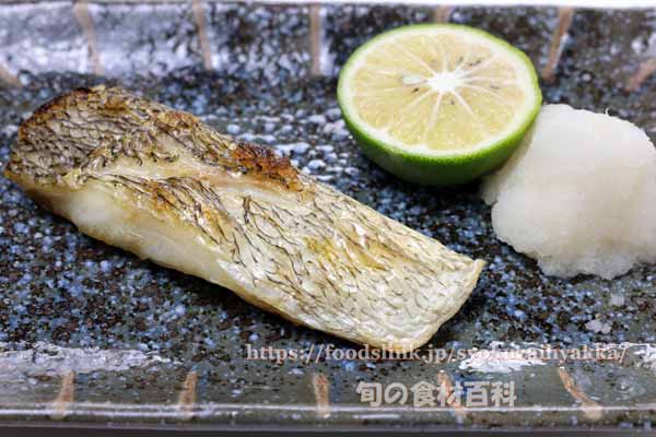 タカノハダイの料理　塩焼き