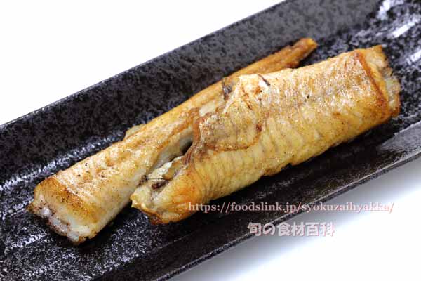 トクビレ ハッカクの塩焼き トクビレ ハッカクの塩焼き