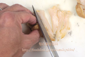 つぶ貝/ツブガイ/マツブ/エゾボラ:さばき方と唾液腺の処理