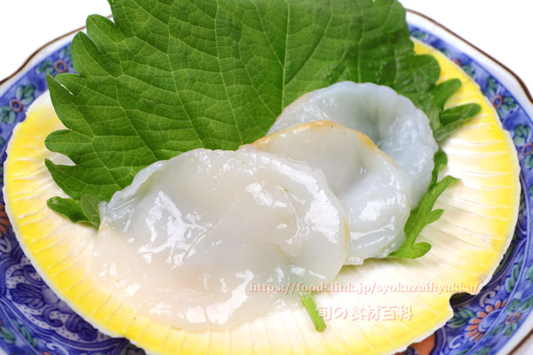 ツキヒガイの刺身 ツキヒガイ/月日貝 Amusium japonicum japonicum