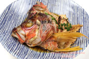 ヨコスジフエダイ（横筋笛鯛）のかぶと煮　煮付け