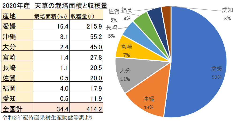 天草（あまくさ）・美娘（みこ）の全国の収穫量