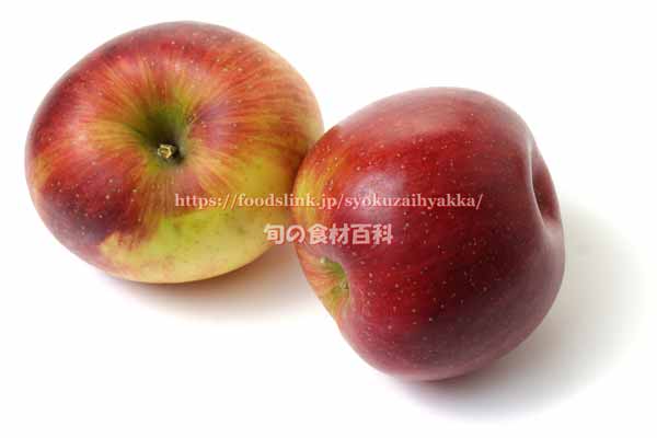 りんご 秋茜(あきあかね)の変形果 秋茜,変形果,奇形果,あきあかね,りんご