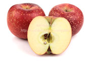 千雪（ちゆき）／あおり２７ りんご　リンゴ