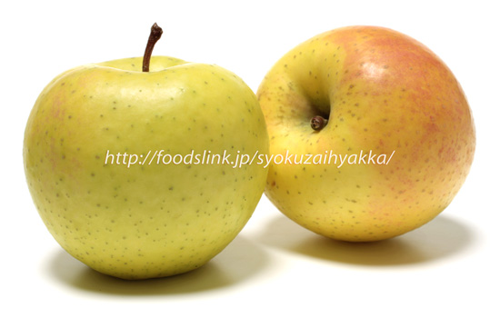 星の金貨／あおり15＜りんご／リンゴ