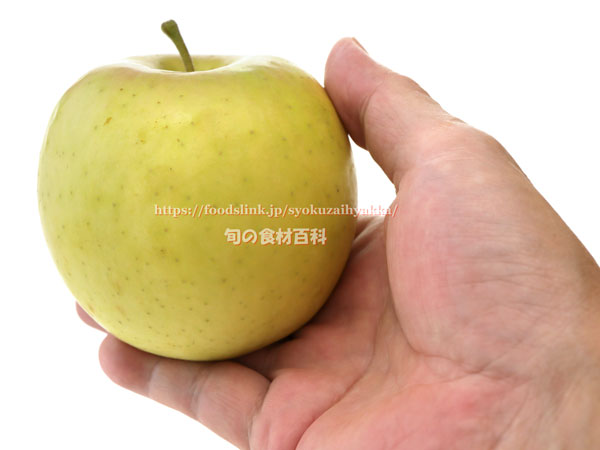 黄輝（こうき） リンゴ