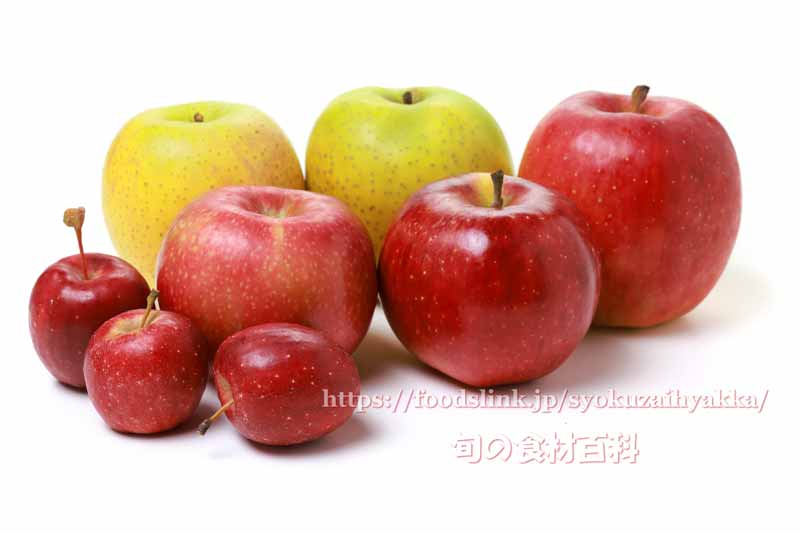リンゴ（林檎/りんご）