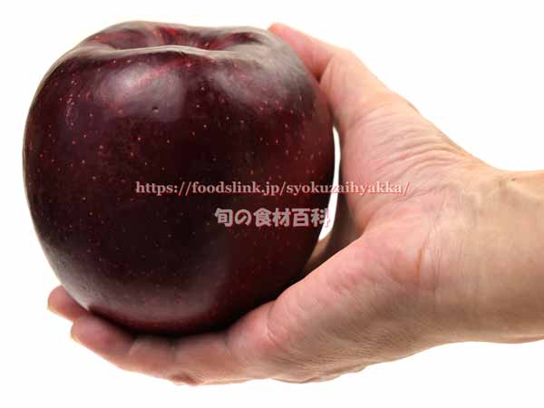 キルトピンク（リンゴ長果34）　果肉も赤いリンゴ