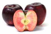 キルトピンク（リンゴ長果34）の断面　果肉も赤いリンゴ