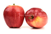 ロイヤル・ガラ／Royal Gala＜輸入リンゴ・りんご