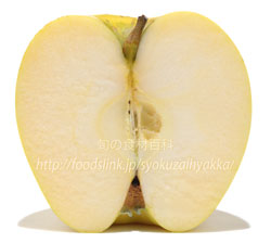 りんご　シナノゴールドの断面と果肉　リンゴ