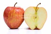 リンゴ：ソニヤ（SONYA）の断面と果肉