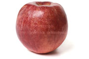 すわっこ　りんご　リンゴ