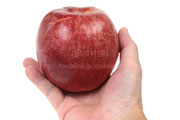 すわっこ　りんご　リンゴ