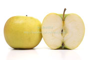 スイートメロディ ＜黄色いリンゴ