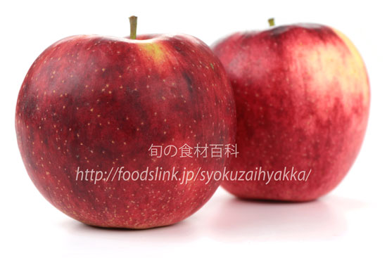 あかぎ アカギ りんご リンゴ 赤城