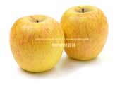 無袋栽培のはるか,りんご,リンゴ