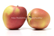 インドリンゴ／印度りんご