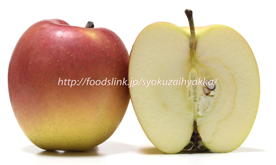 インドリンゴ／印度りんご