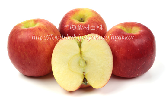 ジャズ/Jazz apple<リンゴ りんご