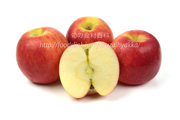 ジャズ／Jazz appleの断面と果肉＜リンゴ りんご