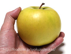 こうこう りんご