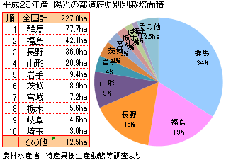 陽光（ようこう） りんご　リンゴの栽培面積　収穫量