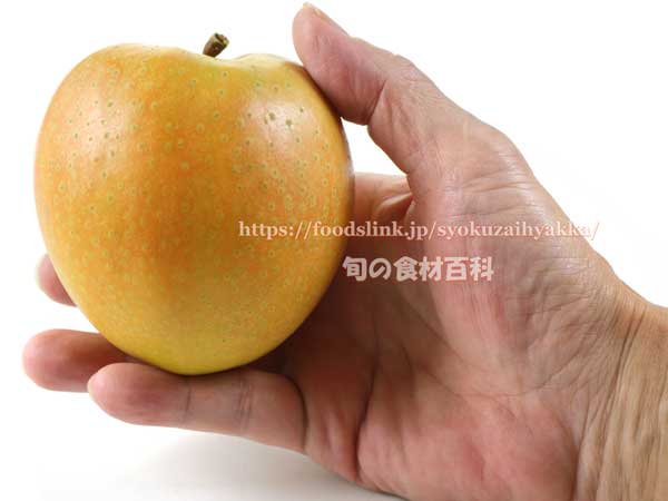 なかののきらめき 果肉が赤いリンゴ なかののきらめき 中野のきらめき りんご リンゴ