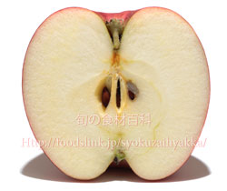 紅玉の断面,コウギョク,リンゴ,りんご