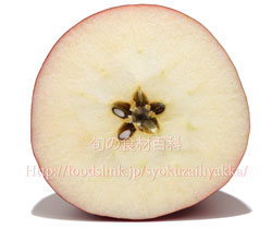 紅玉の断面,コウギョク,リンゴ,りんご
