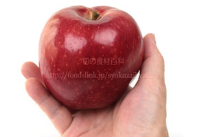 おぜの紅／おぜのくれない りんご　リンゴ
