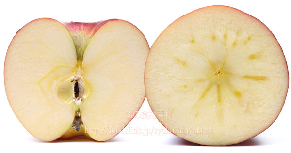 シナノホッペ　りんご　リンゴ