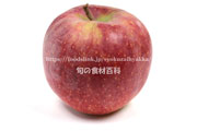 シナノリップ リンゴ　りんご