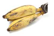 5日間追熟した銀バナナ（ぐしちゃん銀バナナ農園産）