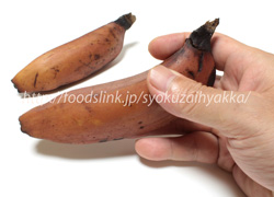 モラード/Morade Banana<バナナ