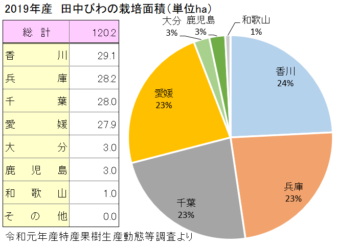 全国の田中びわの栽培面積