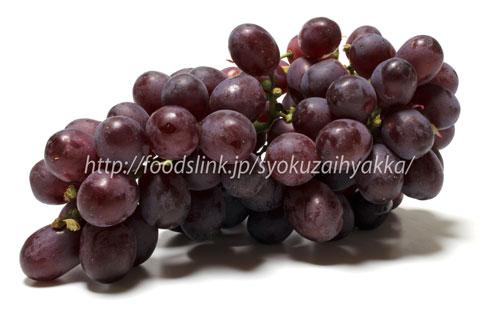 クリムゾン・シードレス（Crimson Seedless Grapes）