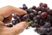 クリムゾン・シードレス（Crimson Seedless Grapes）