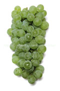 ヒムロッド・シードレス（Himrod Seedless Grape）