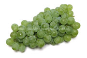 ヒムロッド・シードレス（Himrod Seedless Grape）