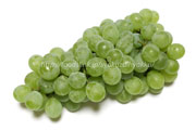 ヒムロッド・シードレス（Himrod Seedless Grape）