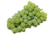 ヒムロッド・シードレス（Himrod Seedless Grape）