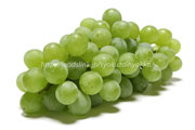 ヒムロッド・シードレス（Himrod Seedless Grape）