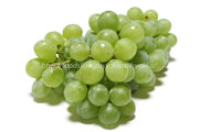 ヒムロッド・シードレス（Himrod Seedless Grape）